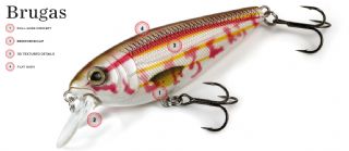 Molix Brugas Sinking 8.5cm